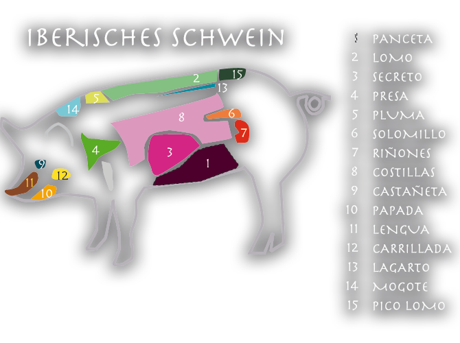 fleischlage iberisches schwein